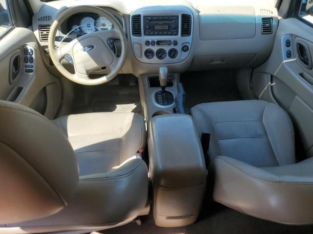 2005 Ford Escape XLT