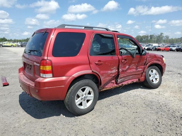 2007 Ford Escape HEV