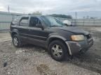 2002 Ford Escape XLT