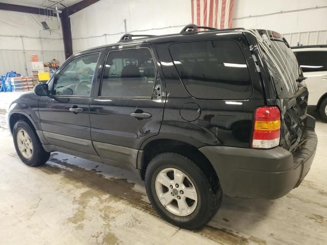 2005 Ford Escape XLT