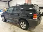 2005 Ford Escape XLT