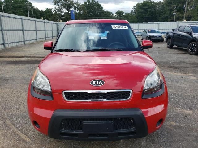 2011 KIA Soul +