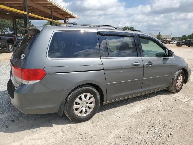 2008 Honda Odyssey EXL