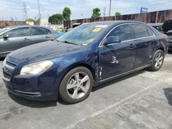 2011 Chevrolet Malibu 1LT en venta en Wilmington, CA