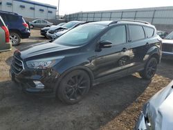 Salvage cars for sale at Albuquerque, NM auction: 2017 Ford Escape Titanium