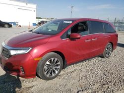 Salvage cars for sale at Farr West, UT auction: 2022 Honda Odyssey EXL