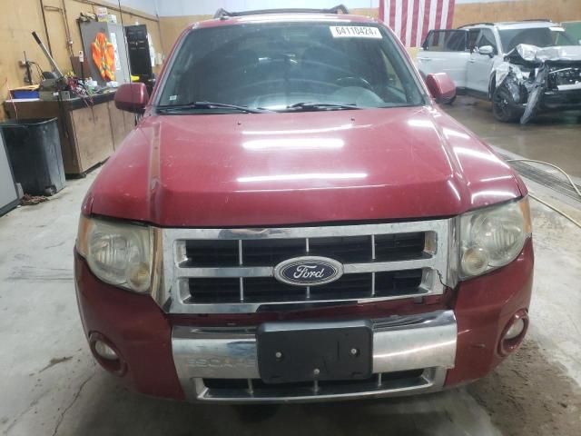 2010 Ford Escape Limited