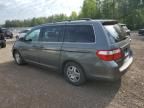 2007 Honda Odyssey EXL