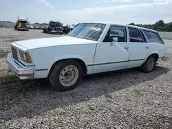 Salvage cars for sale at Walton, KY auction: 1979 Chevrolet T-Series