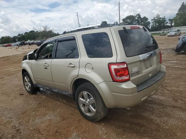 2011 Ford Escape Limited