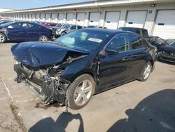 Toyota salvage cars for sale: 2014 Toyota Camry L