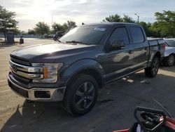 Salvage cars for sale at Louisville, KY auction: 2020 Ford F150 Supercrew