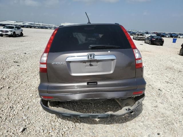 2010 Honda CR-V EXL