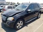 2009 Mercedes-Benz ML 350