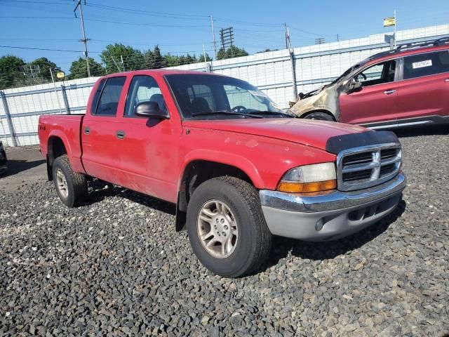 2004 Dodge Dakota Quad SLT