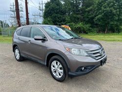 Honda cr-v ex salvage cars for sale: 2014 Honda CR-V EX