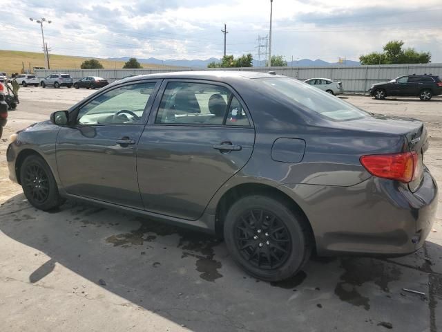 2010 Toyota Corolla Base