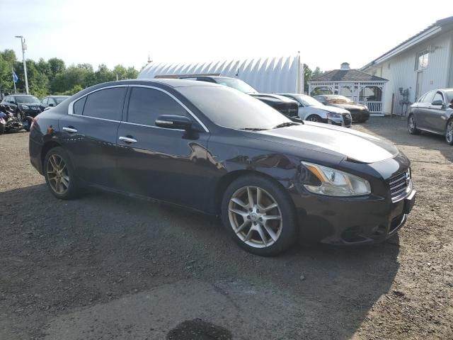 2010 Nissan Maxima S