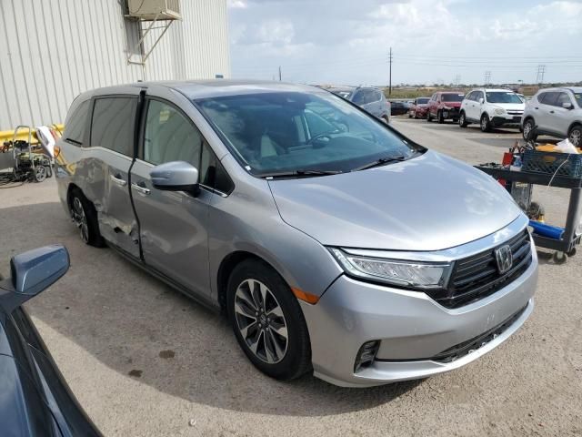 2023 Honda Odyssey EXL