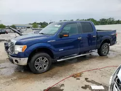 Carros salvage para piezas a la venta en subasta: 2011 Ford F150 Supercrew