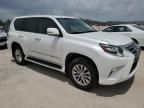 2019 Lexus GX 460