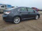 2010 Lexus HS 250H