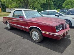 Dodge 400 salvage cars for sale: 1982 Dodge 400