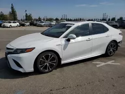 Salvage cars for sale at Rancho Cucamonga, CA auction: 2019 Toyota Camry Hybrid