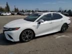 2019 Toyota Camry Hybrid