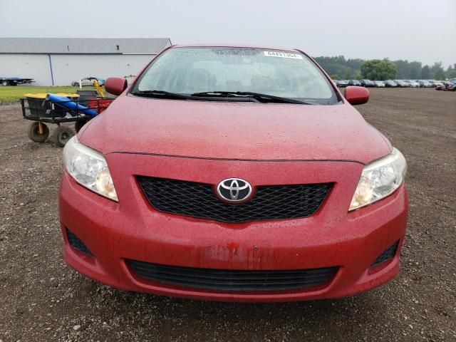 2009 Toyota Corolla Base