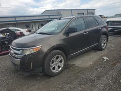 Salvage cars for sale at Earlington, KY auction: 2011 Ford Edge SEL