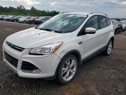 Salvage cars for sale from Copart Des Moines, IA: 2016 Ford Escape Titanium