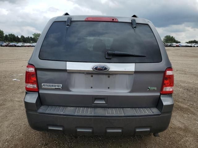 2010 Ford Escape Limited