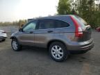 2011 Honda CR-V LX