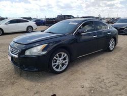 Salvage cars for sale at Amarillo, TX auction: 2012 Nissan Maxima S