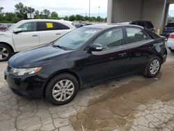 Salvage cars for sale at Fort Wayne, IN auction: 2010 KIA Forte EX