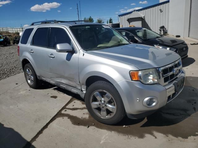 2010 Ford Escape Limited