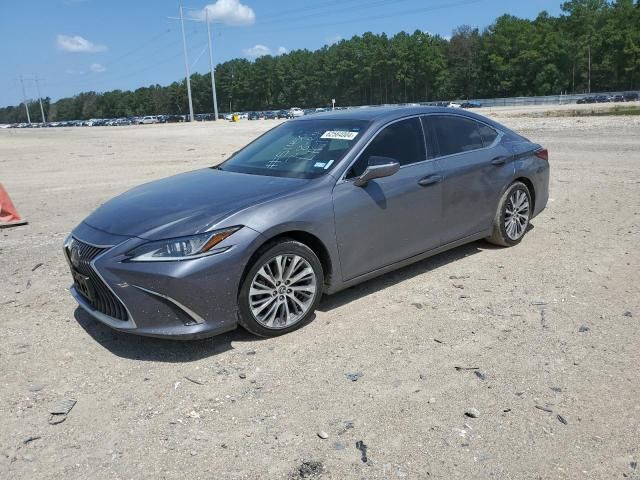 2019 Lexus ES 350