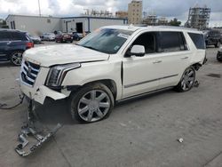 Salvage SUVs for sale at auction: 2015 Cadillac Escalade Premium