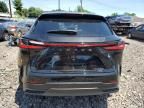 2024 Lexus NX 350 Base