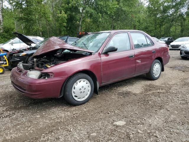 1998 Toyota Corolla VE