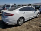 2016 Ford Fusion SE Hybrid