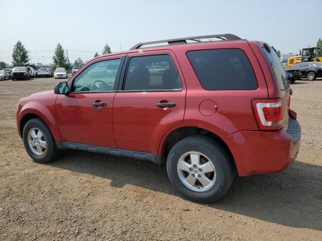 2011 Ford Escape XLT