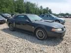 2004 Ford Mustang GT