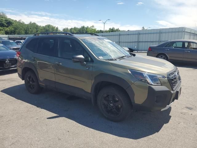 2023 Subaru Forester Wilderness