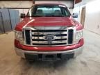 2010 Ford F150