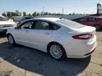 2016 Ford Fusion SE Hybrid