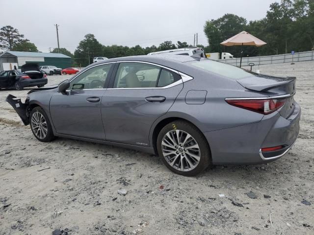 2019 Lexus ES 300H