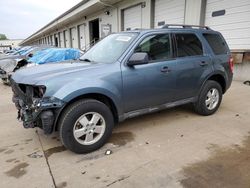 Salvage cars for sale at Louisville, KY auction: 2012 Ford Escape XLT