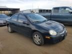 2005 Dodge Neon SXT